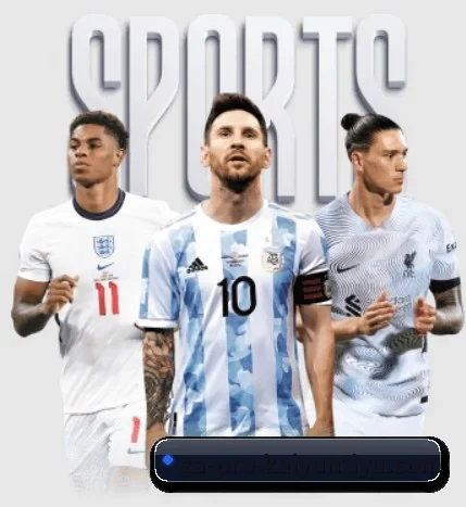 开云 APP - Kaiyun Sports